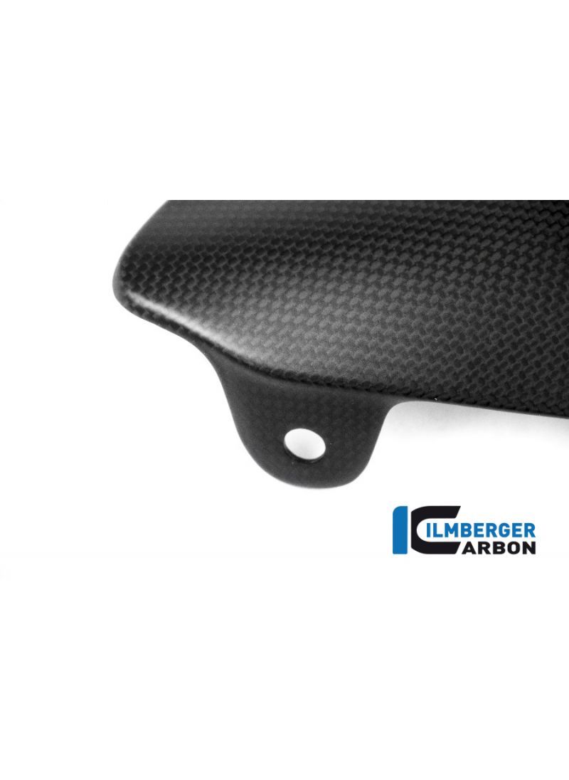 MAT Carbon All Protector auf dem Abgas Ducati Monster 1200S (2014-2016)