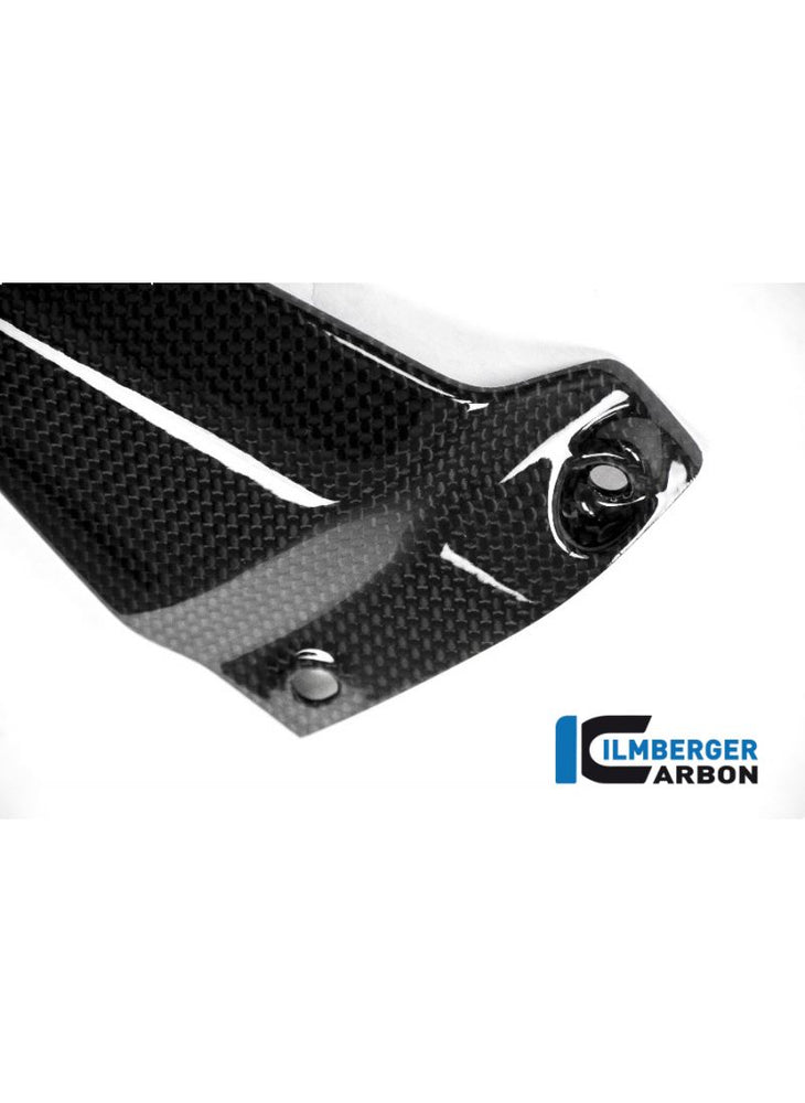 Glossy Carbon Very Plate Right Side Ducati Monster 1200S (2014-2016)