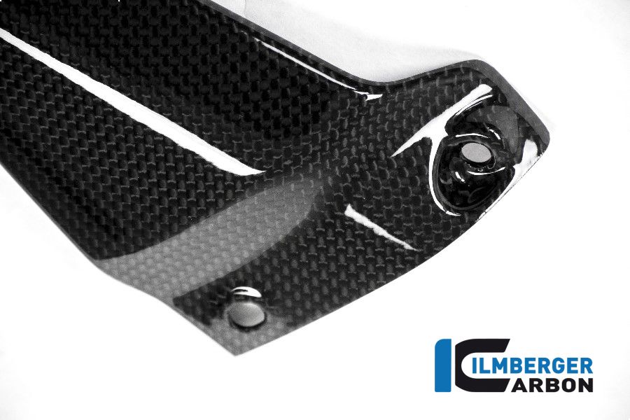 
                  
                    Glossy Carbon Very Plate Right Side Ducati Monster 1200S (2014-2016)
                  
                