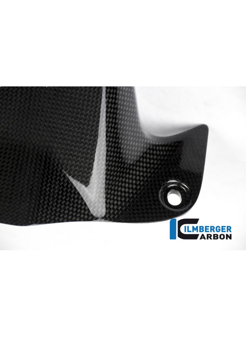 Glossy Carbon Rear Fender (Hugger) Ducati Monster 1200S (2014-2016)