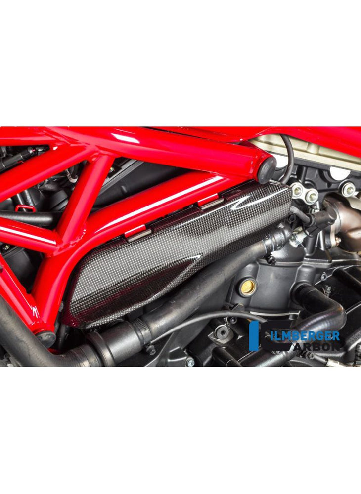 Glossy Carbon Side Panel under ramen vänster sida Ducati Monster 1200S (2014-2016)