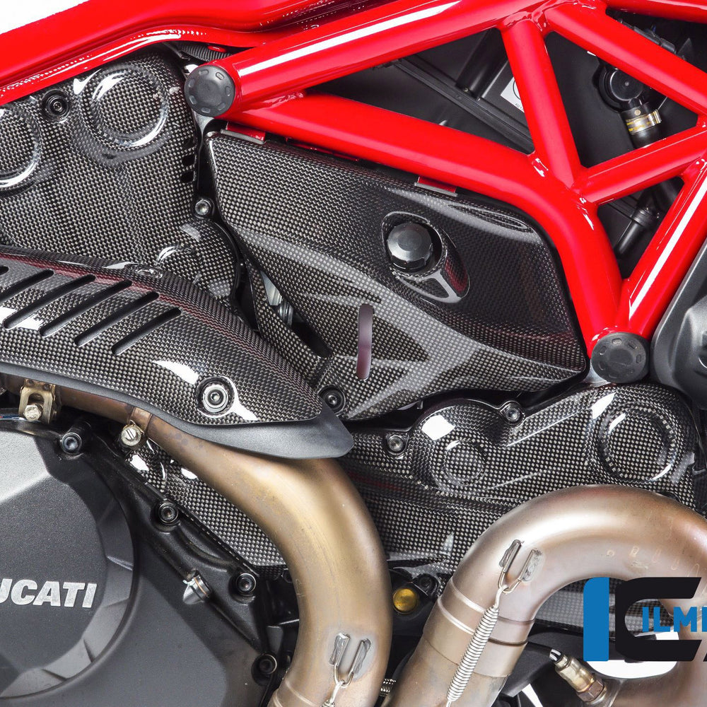 
                  
                    Glossy Carbon Timing Cam Belt Cover Vertical Ducati Monster 1200S (2014-2016)
                  
                