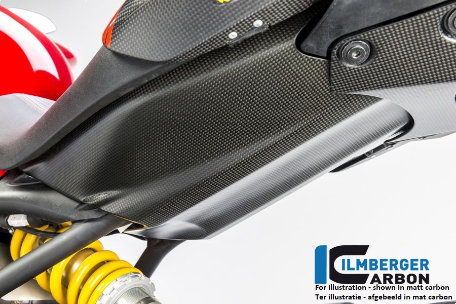 
                  
                    Glossy Carbon bakre undertrakt Ducati Monster 1200S (2014-2016)
                  
                