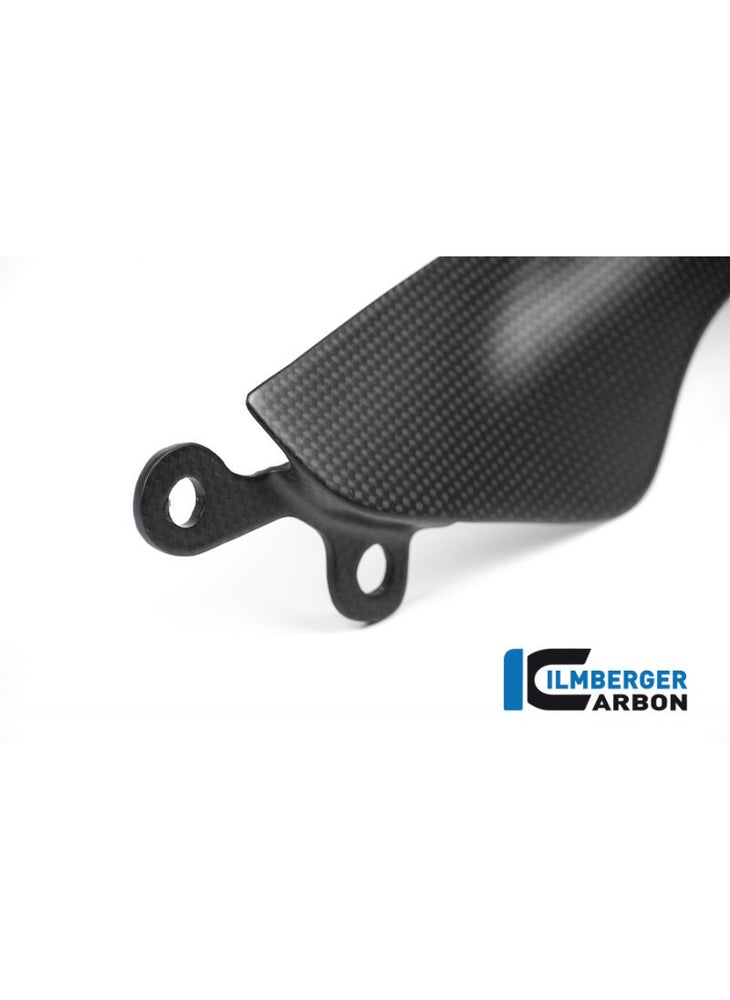 Mat carbon chain cover Monster 1200R