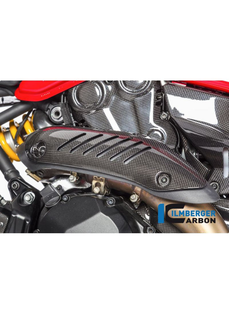 Encabezado de carbono brillante Monster 821 Ducati Monster 821 Stripe (2016-2017)