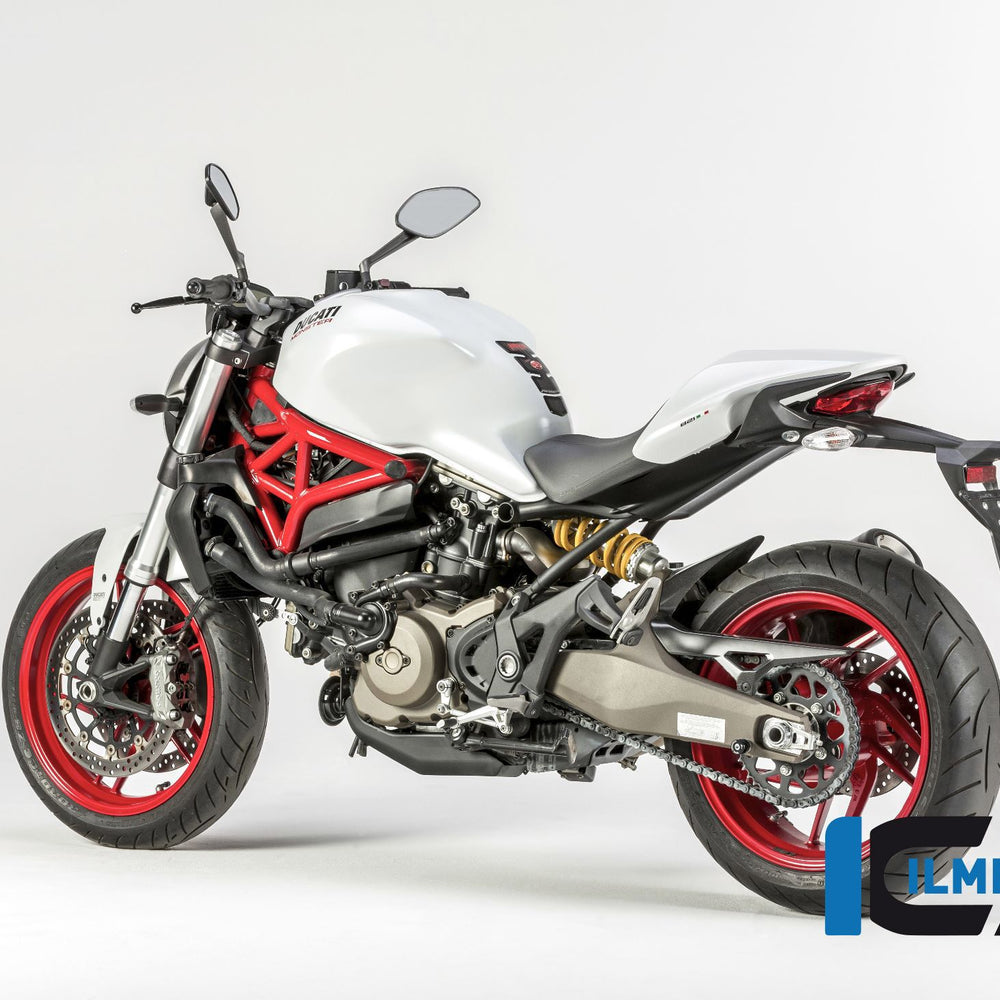 Soporte de matrícula de carbono brillante Ducati Monster 821 Stripe (2016-2017)