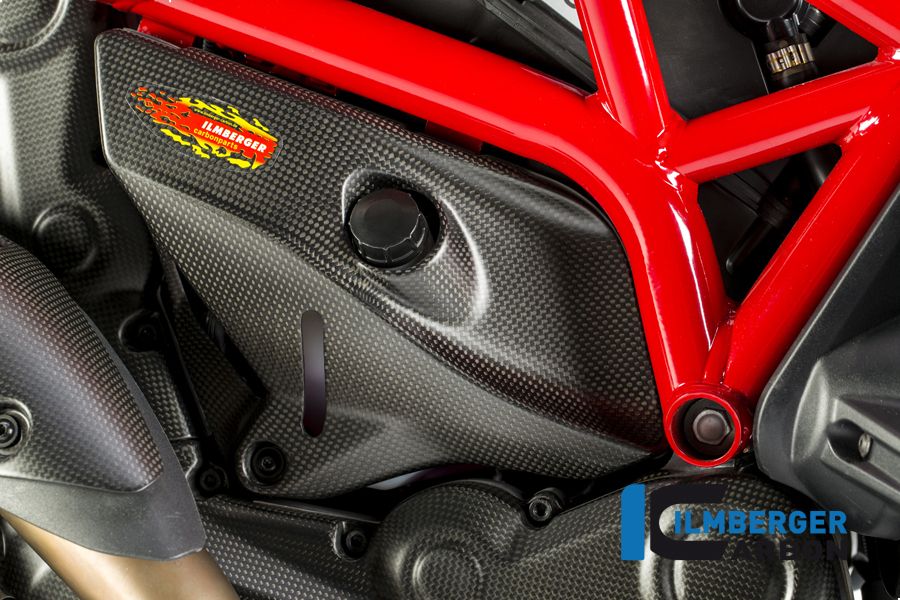 
                  
                    Matt Carbon Side Panel Under The Frame Right Side Monster 821 2013-2017 Ducati Monster 821 (2013-2017)
                  
                