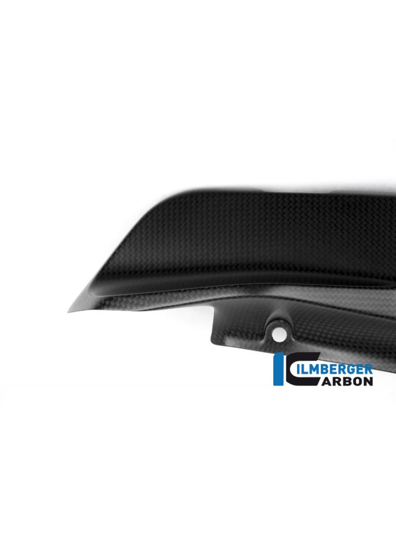 Panel lateral de carbono Mat debajo del marco del lado izquierdo Monster 821 Ducati Monster 821 Stripe (2016-2017)