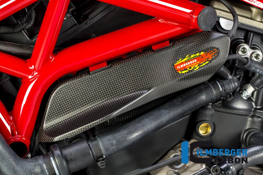 
                  
                    Panel lateral de carbono Mat debajo del marco del lado izquierdo Monster 821 Ducati Monster 821 Stripe (2016-2017)
                  
                