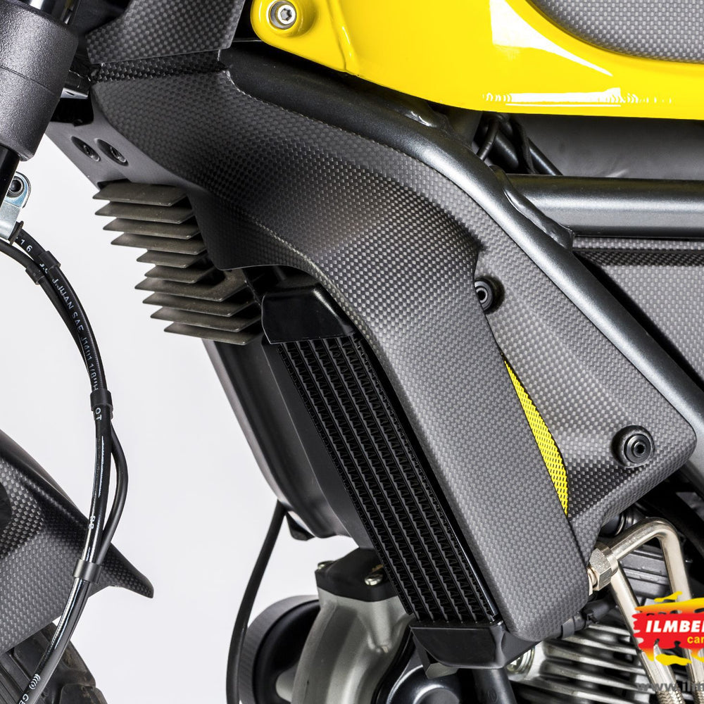 Couverture de radiateur Left Matt Carbon - Ducati Scrambler Classic (2015-2018)