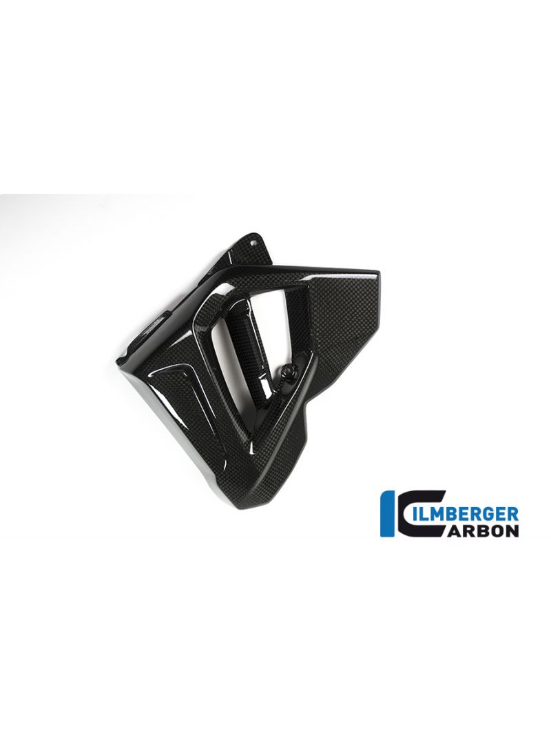 Radiator Cover (left Side) - BMW F 800 R (2015-2019)