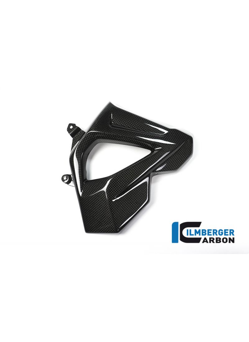 Radiator Cover (right Side) - BMW F 800 R (2015-2019)