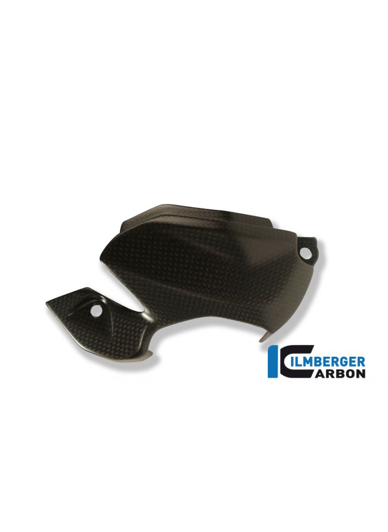 Side cowl insert left side carbon 959 Panigale