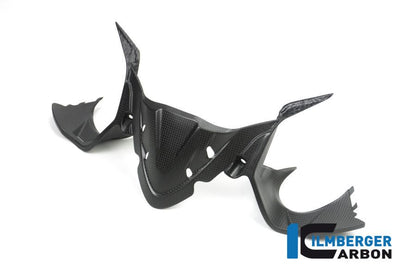 Instrumententafel Matt Carbon Ducati Panigale 959 1299 (All) Ducati Panigale 959 Corse (2018-2019)