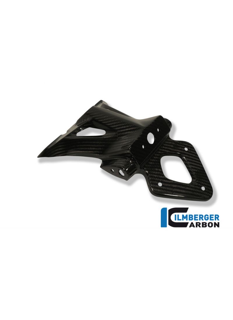 Carbon license plate support BMW S1000RR (2010-2011)