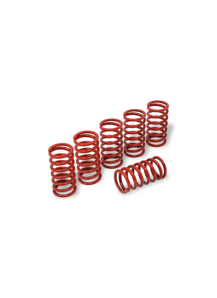 
                  
                    Clutch Spring Kit H38 Ducati ST4S (2004-2006)
                  
                