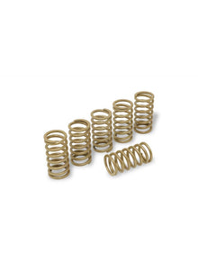 Verenset 38mm (6 st.) voor droge koppeling Ducati ST3S (2003-2007)
