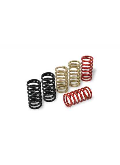 Verenset 38mm (6 st.) voor droge koppeling Ducati 998S (2002-2003)