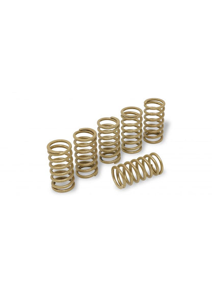 Wet Clutch Springs