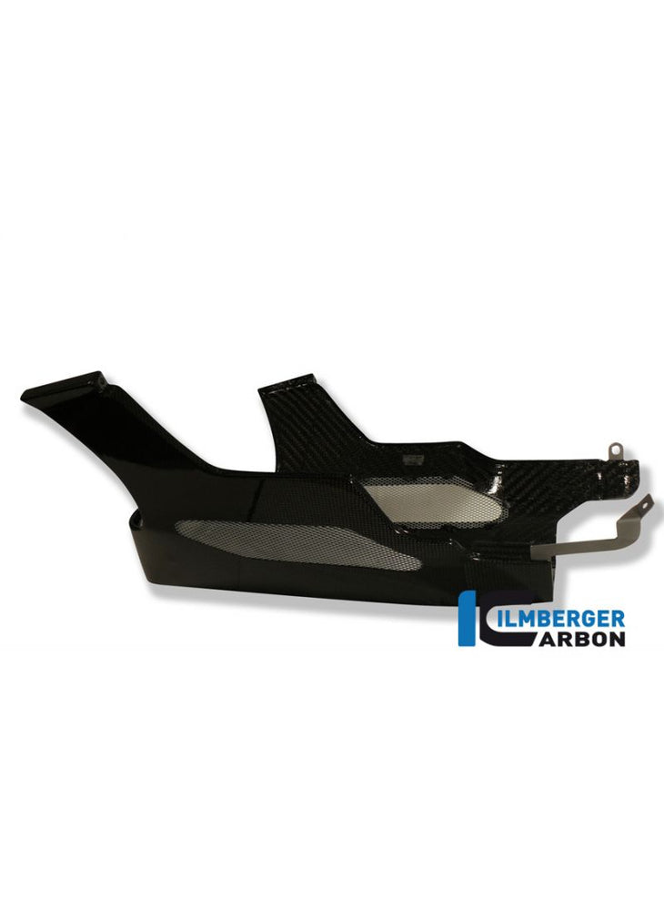 Motor spoiler (bellypan) Short Carbon R1200R BMW R850R (1995-2001)