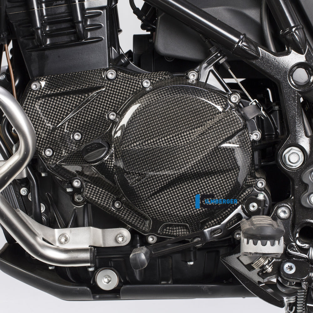 Zündgehäuse Deckung Carbon BMW F700GS (2013-2017)