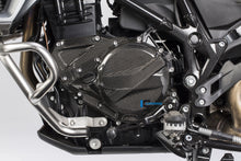 Zündgehäuse Deckung Carbon F700GS BMW F 700 GS (2013-2017)