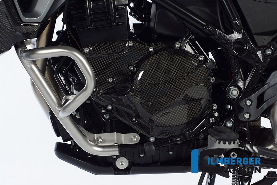 
                  
                    Zündgehäuse Deckung Carbon BMW F700GS (2013-2017)
                  
                