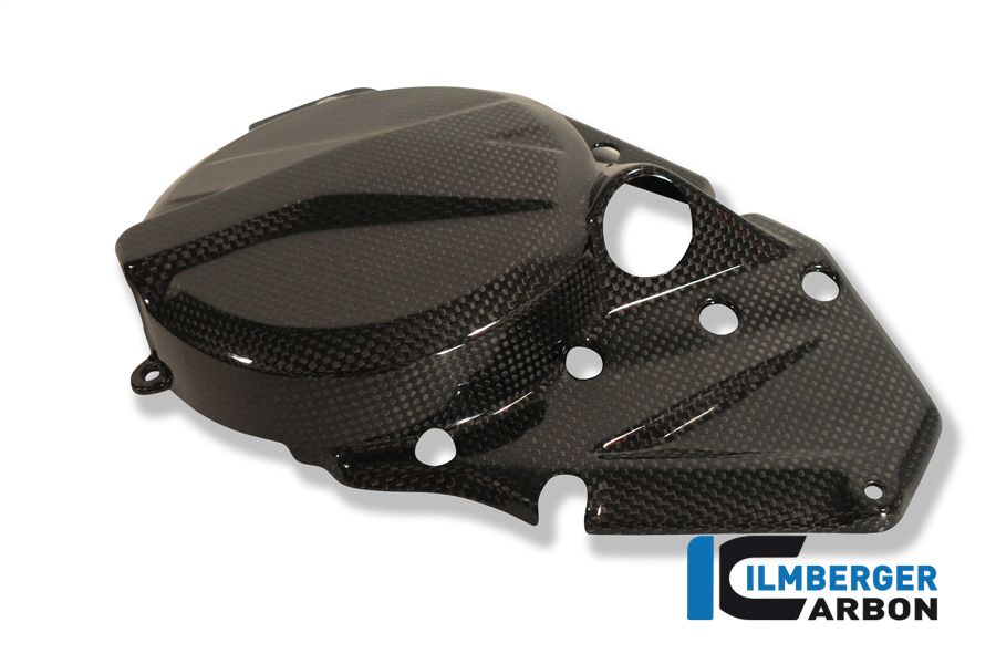 
                  
                    Ignition housing cover carbon F800GS Adventure BMW F 800 GS Adventure (2008-2018)
                  
                