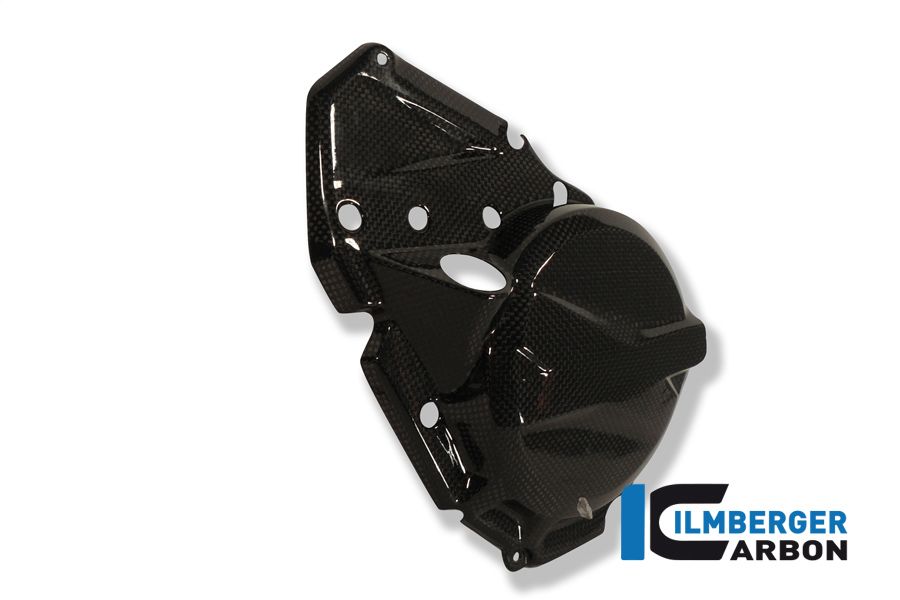 
                  
                    Ignition housing cover carbon F800GS Adventure BMW F 800 GS Adventure (2008-2018)
                  
                