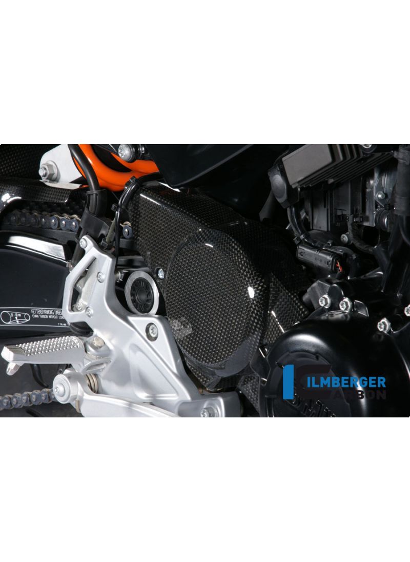 Front pulley cover carbon BMW F800R 2009-2011