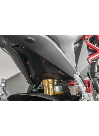 Racing passenger footrest kit Panigale