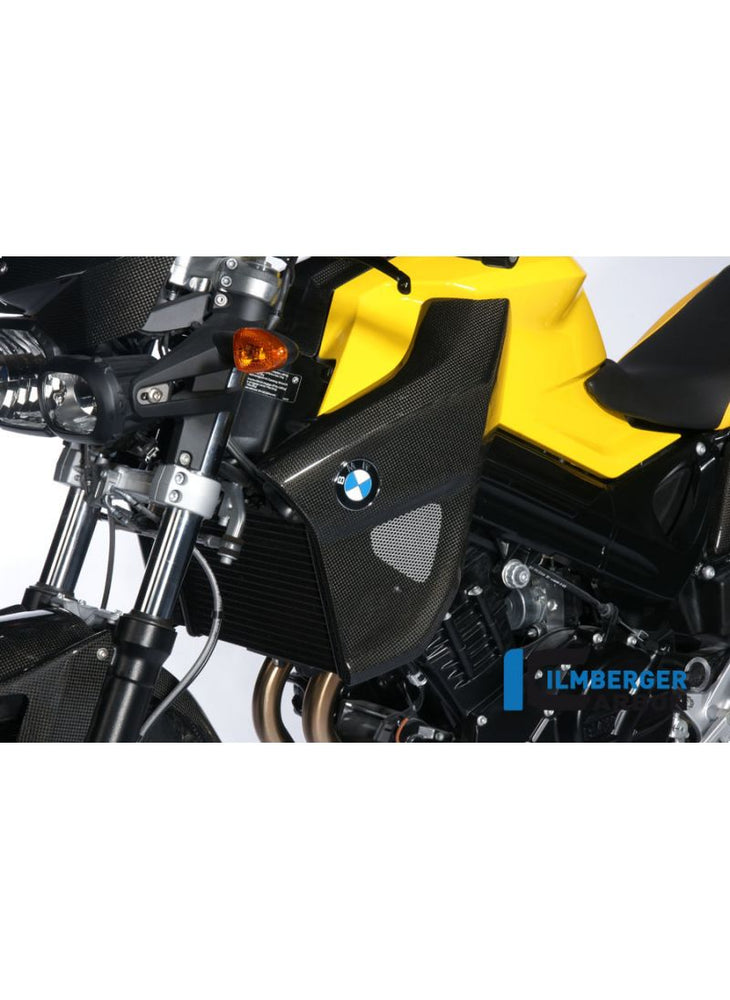 Cubierta del radiador - Lado izquierdo - Carbon BMW F 800 R (2009-2011)