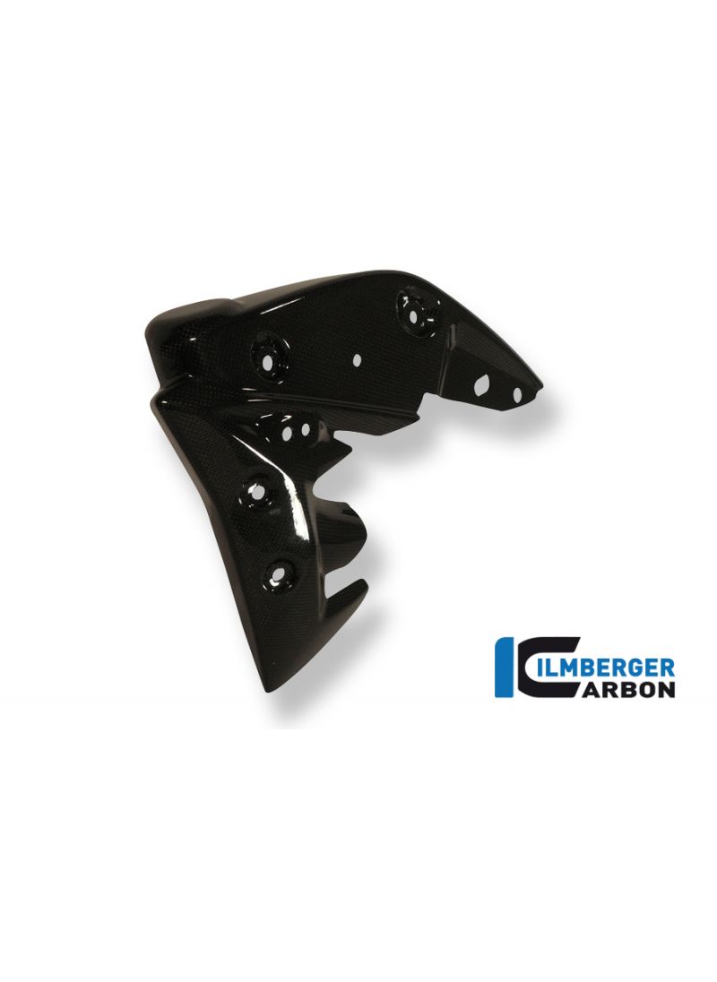 Radiator cover links carbon Triumph Speed Triple 1050 (2011-2015)