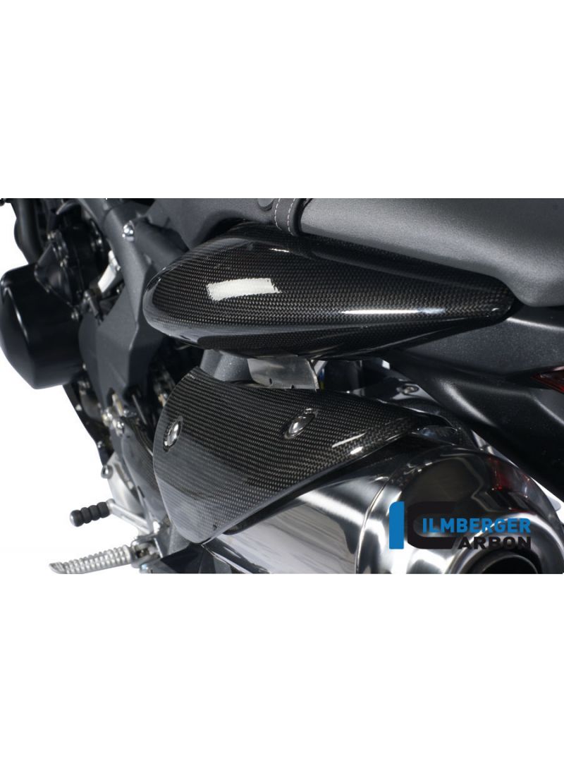 Kühlerabdeckung verknüpft Carbon Triumph Street Triple 675 (2007-2012)