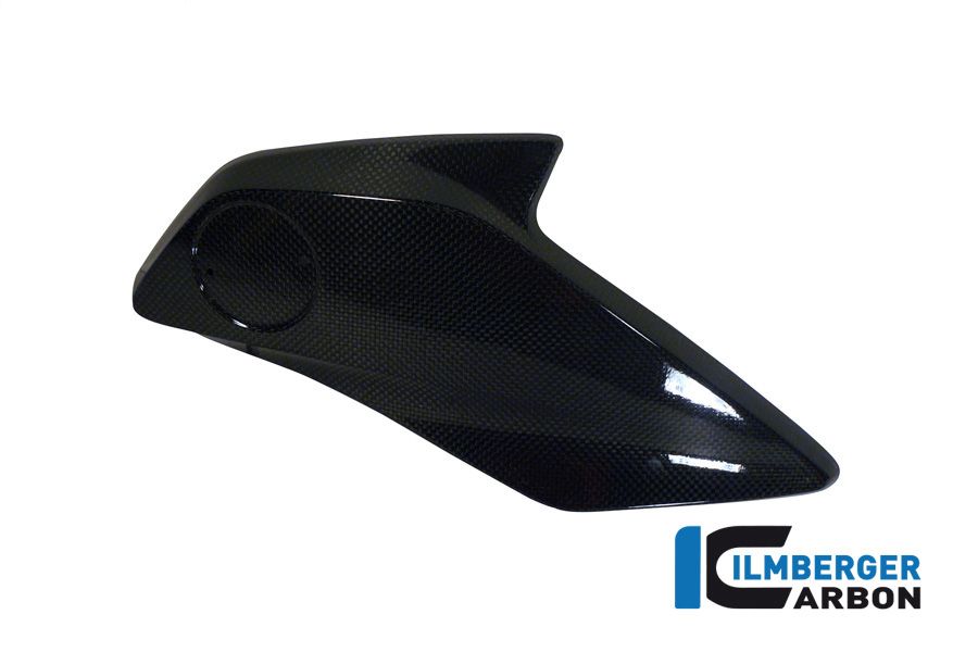 COUVERTURE DU RADIATEUR / LOGO CARRIER DU CARBON REGER R1200GS LC (2013-2016)