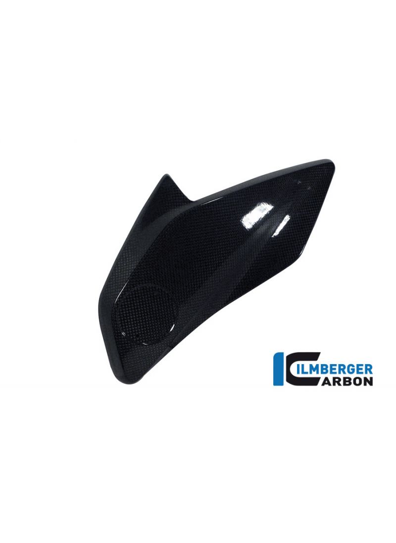 COUVERTURE DU RADIATEUR / LOGO CARRIER DU CARBON REGER R1200GS LC (2013-2016)