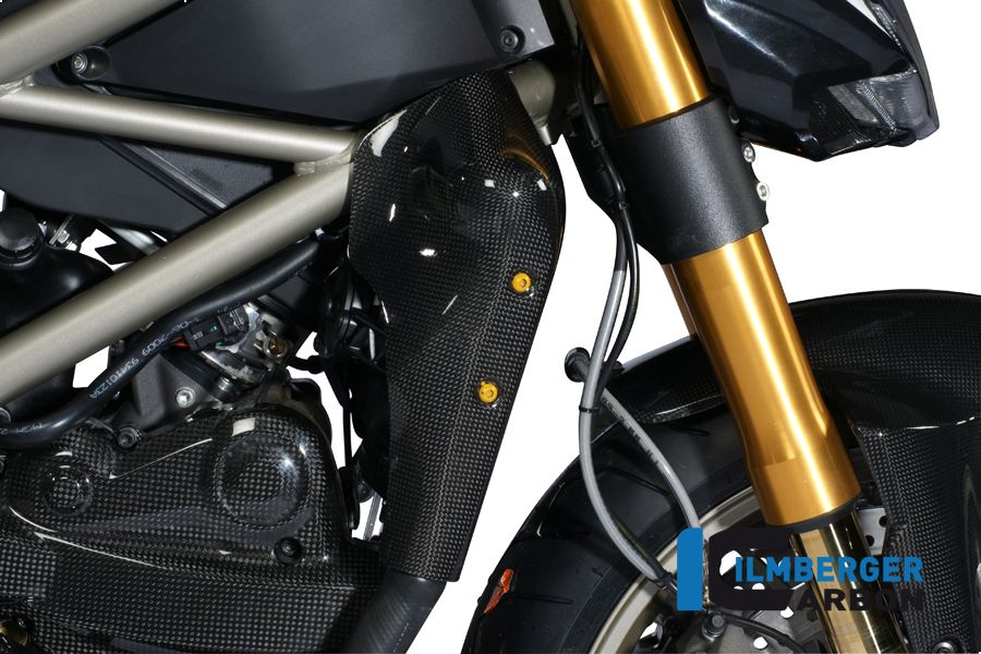 
                  
                    Cubierta de radiador de carbono Ducati Streetfighter 1100 (2009-2011)
                  
                