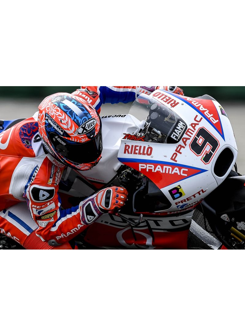 Brake lever guard Pramac Racing Limited Edition