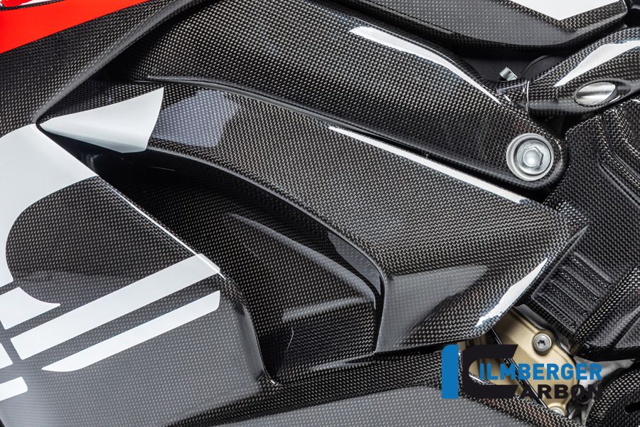 
                  
                    Seitenplatte unter dem Tank Links Glanz Ducati Panigale V4 (2018-2020)
                  
                