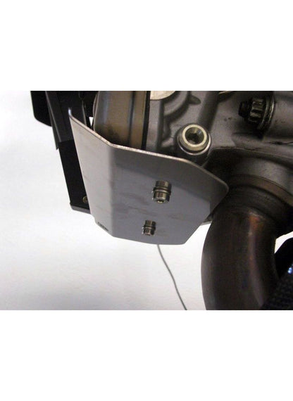 Beschermer horizontale cilinder Ducati Multistrada 1200 S Touring (2010-2014)