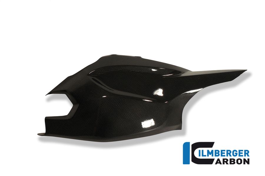 Carbon bakre swingarm-täckning Ducati Multistrada 1200 (2010-2012)