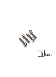Boutenset Handlebar Clamp set M8x25 (4 stuks.) - Titanium Ducati Streetfighter V4 S (2020-2022)
