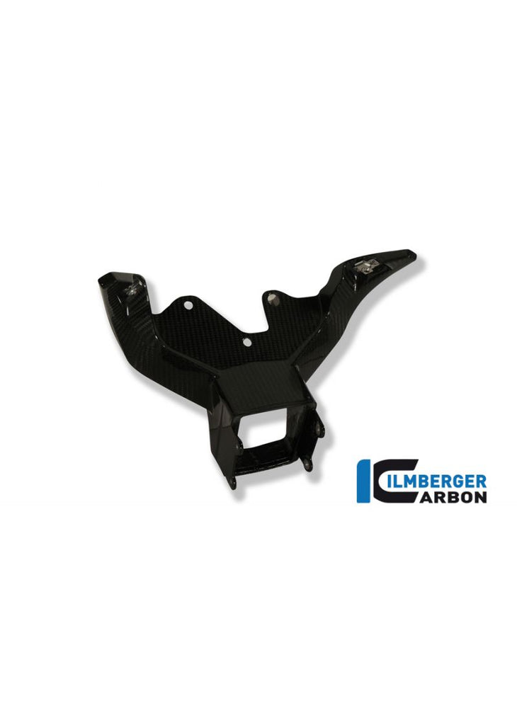 Carbon Top Cowlsupport/Cockpitsupport BMW S1000RR Racing (2009-2011)