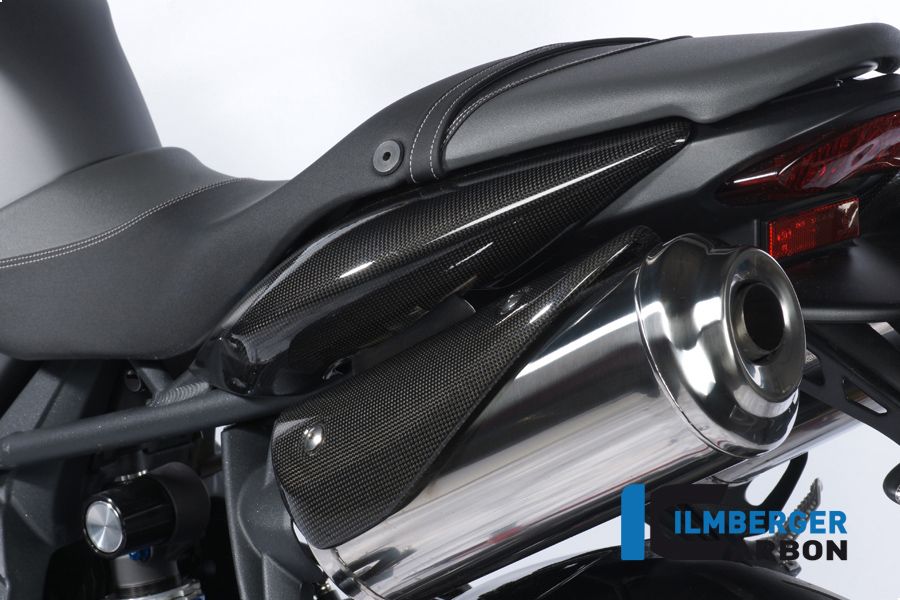 
                  
                    Exhaust Cover Links Carbon Triumph Street Triple (2013-2016)
                  
                