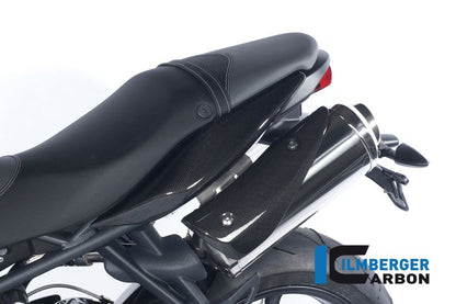 Abgasabdeckung verknüpft Carbon Triumph Street Triple R (2013-2016)