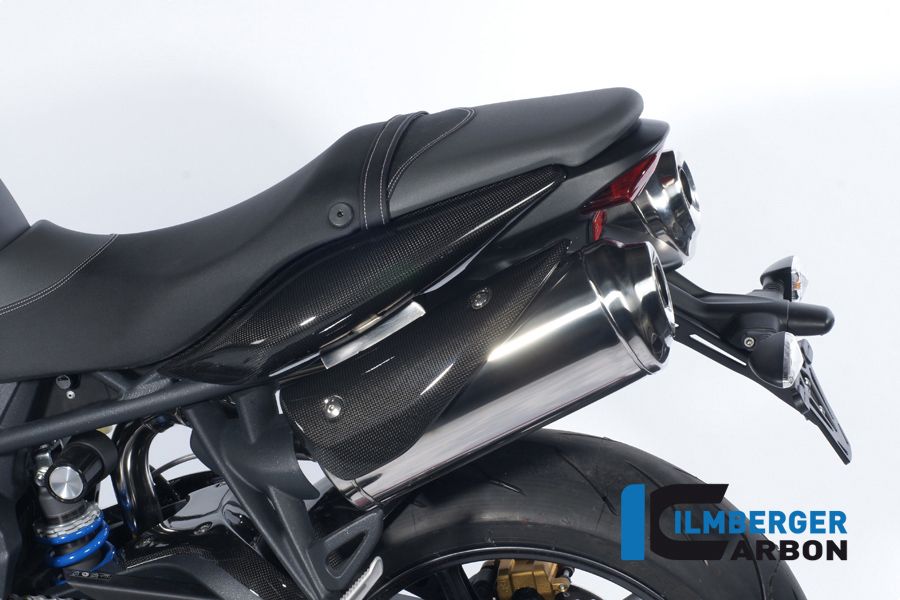 
                  
                    Exhaust Cover Links Carbon Triumph Street Triple (2013-2016)
                  
                