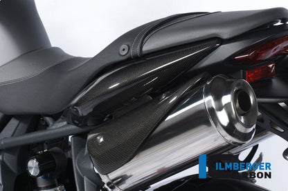 Abgasabdeckung verknüpft Carbon Triumph Street Triple 675 (2007-2012)