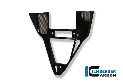 Carbon V-panel Ducati 749 /999 Ducati 999 (2003-2006)