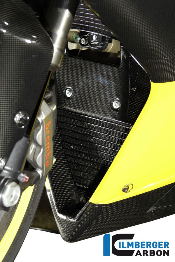 
                  
                    V-panel Carbon Ducati 848 (2008-2013)
                  
                