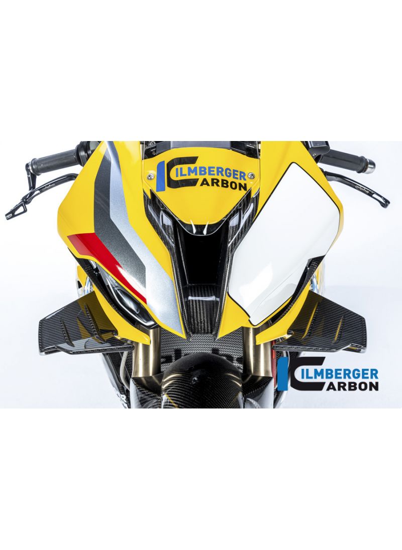 Racing Front Fairing (one piece) - Carbon BMW M1000RR 2021+